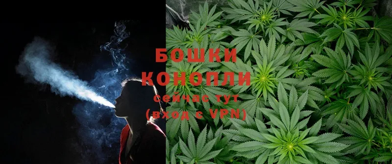 магазин продажи   Балтийск  Шишки марихуана SATIVA & INDICA 